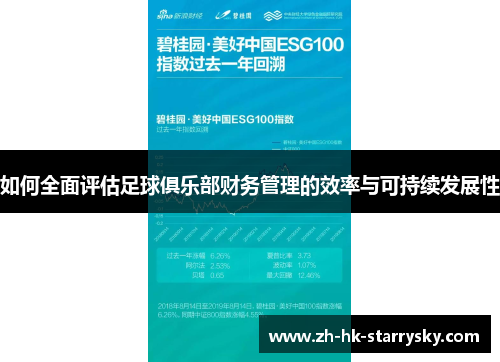 如何全面评估足球俱乐部财务管理的效率与可持续发展性